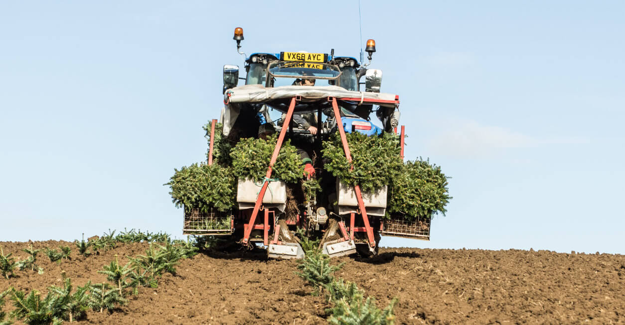 tractor-4